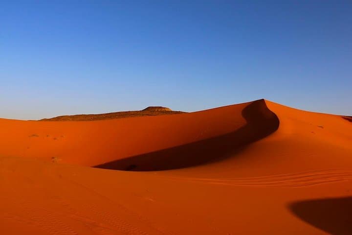 Merzouga Dunes and Berber Culture: Private Day Trip to Khamlia & Lake Tamezguida photo 3