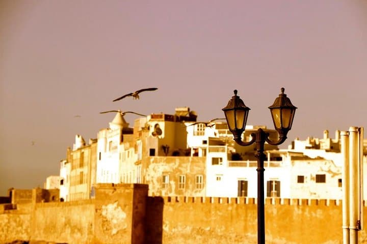 Essaouira Private Day Trip from Agadir — Medina, Harbor & Beach Camel Ride