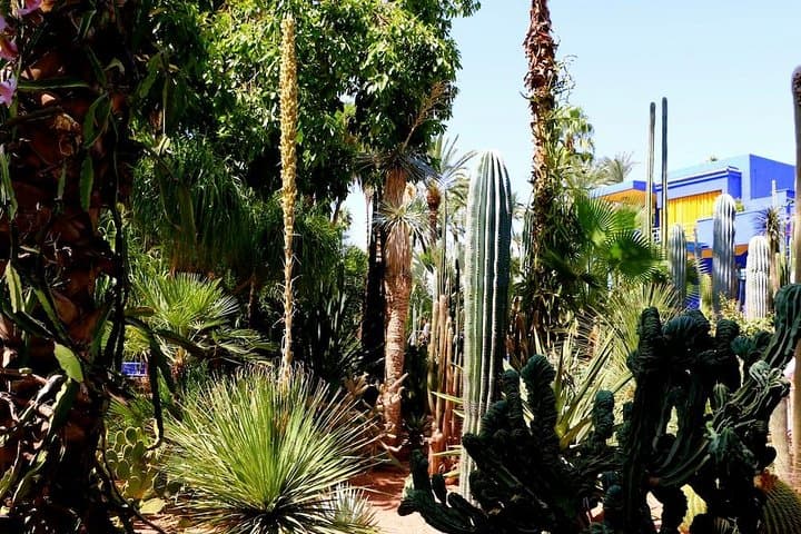 Day Trip from Agadir to Marrakech: Private Full-Day Medina Tour photo 2