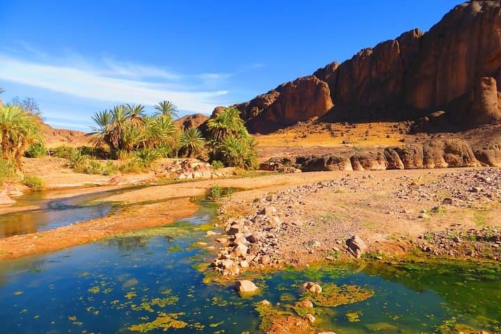 Private Full-Day Ouarzazate & Oasis Fint Tour — Kasbahs, Atlas Studios & Local Lunch photo 1