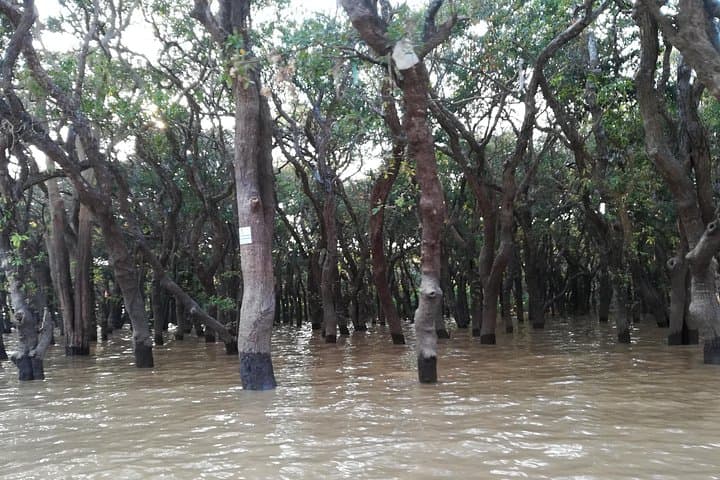 Phnom Kulen Waterfall and Kampong Phluk Floating Village Day Tour from Siem Reap photo 4