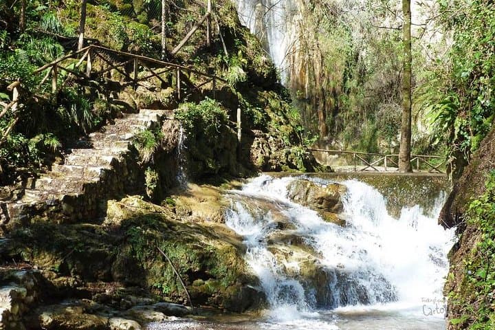 Walking the Amalfi Iron Valley: Valle delle Ferriere Private Nature Tour