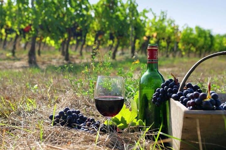 Vayots Dzor Wine Tour from Yerevan — Noravank, Areni Cave & Vineyard Tastings