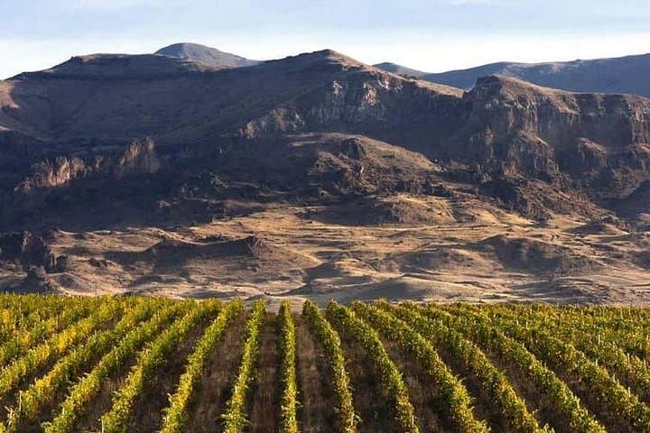 Vayots Dzor Wine Tour from Yerevan — Noravank, Areni Cave & Vineyard Tastings photo 2