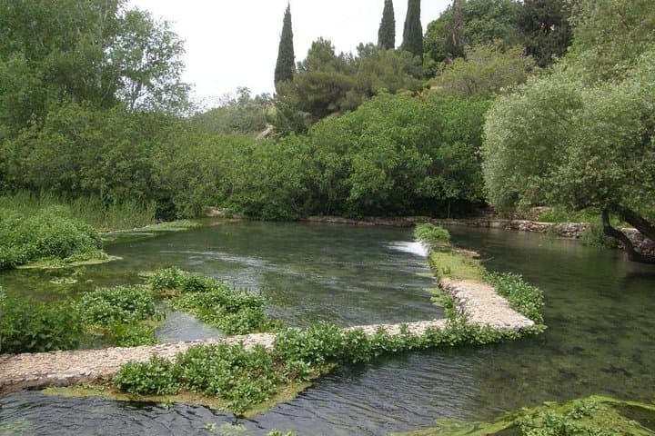 Tel Dan, Banias (Caesarea Philippi) & Nimrod Fortress Private Tour — Golan Day Trip