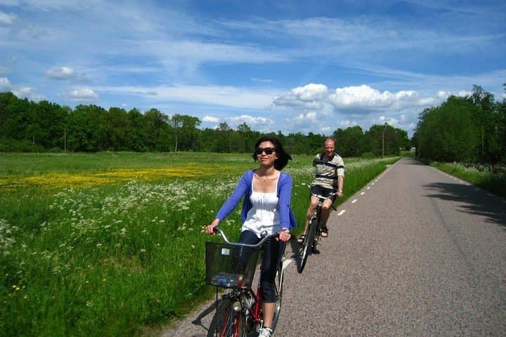 Swedish Countryside Bike Tour: Private Daytrip from Malmö