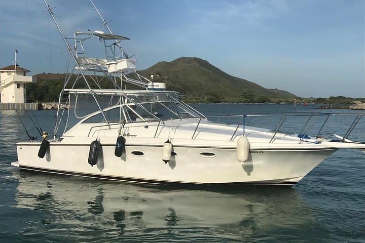 Half Day Big Game Fishing Private Charter in Puerto Plata: Offshore Thrills on the Dominican Coast