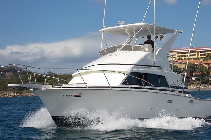 Offshore Sport Fishing from Flamingo Beach: Full-Day Charter for Sailfish, Marlin & Tuna
