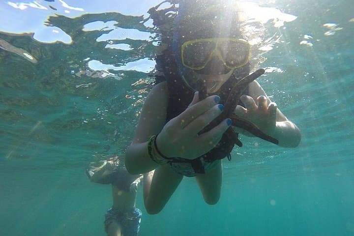 Flamingo Beach Snorkeling: Half‑Day Boat Tour to Isla Plata (Costa Rica) photo 2