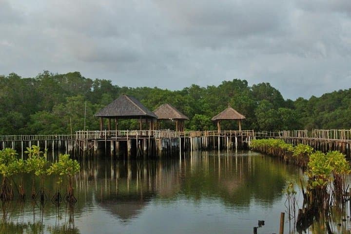 Paddle and Fish Bali's Mangrove Forest: Canoe Eco Tour from Kuta photo 4