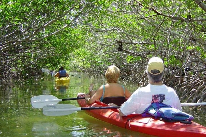 Paddle and Fish Bali's Mangrove Forest: Canoe Eco Tour from Kuta