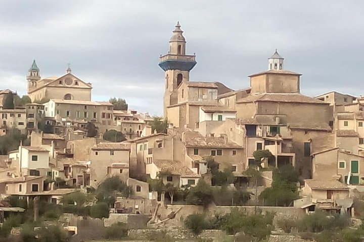Palma & Serra de Tramuntana: Private 4‑Hour Family Tour from Cruise Port photo 2