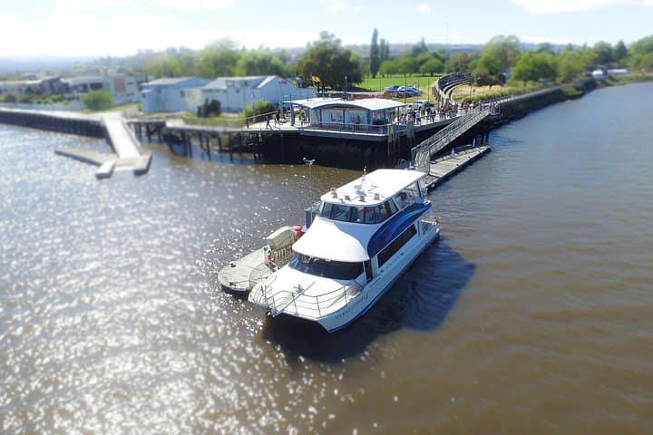Afternoon Discovery Cruise to Cataract Gorge — Launceston Tamar River Experience photo 3