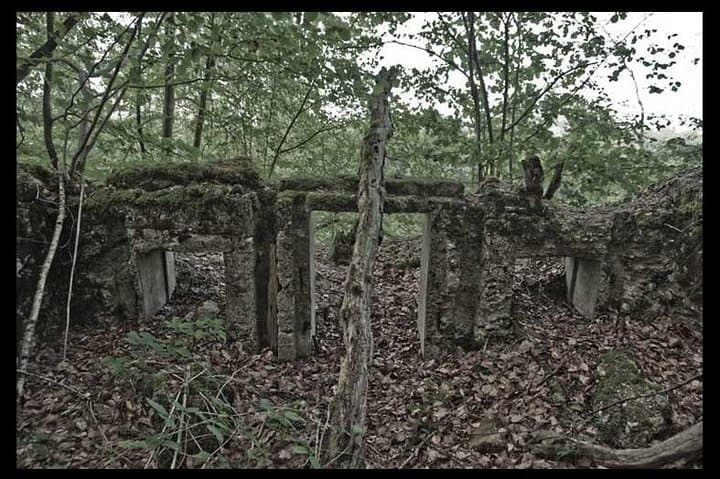 Walking the Argonne: A World War I Battlefield Tour from Reims photo 2