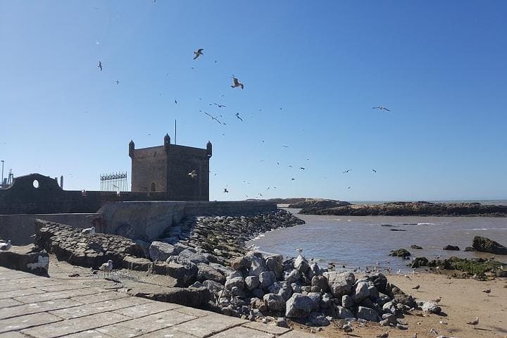 Essaouira Day Trip from Marrakech: Private Full-Day Tour to the Atlantic Coast photo 2