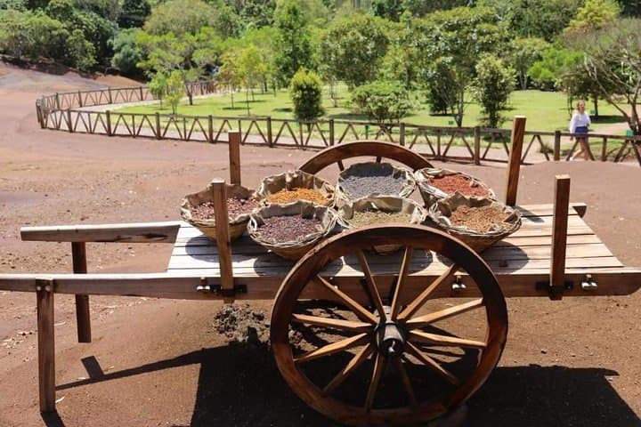 Full-Day South West Mauritius: Chamarel, Black River & Grand Bassin Tour photo 1
