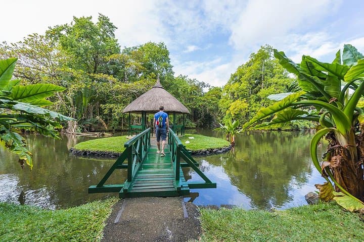 North Mauritius Full-Day Private Tour — Port Louis, Pamplemousses & Cap Malheureux