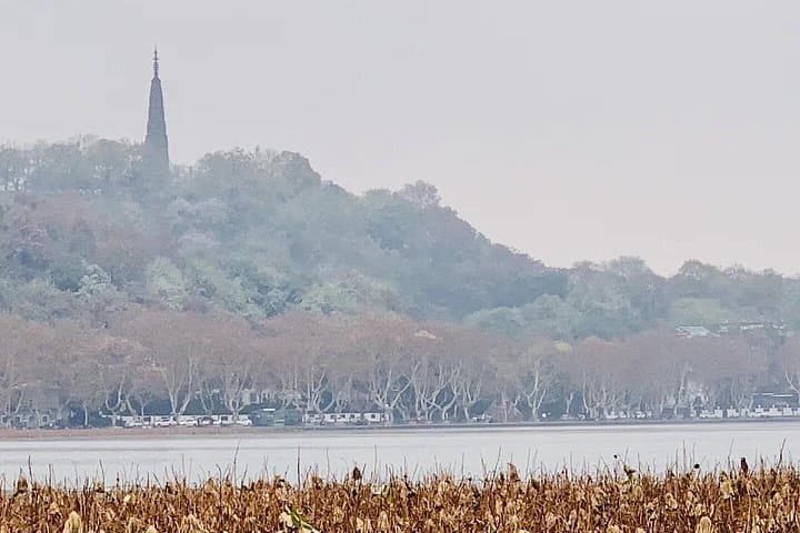 West Lake Day Tour from Shanghai: High-Speed Train to Hangzhou's Iconic Sights photo 4
