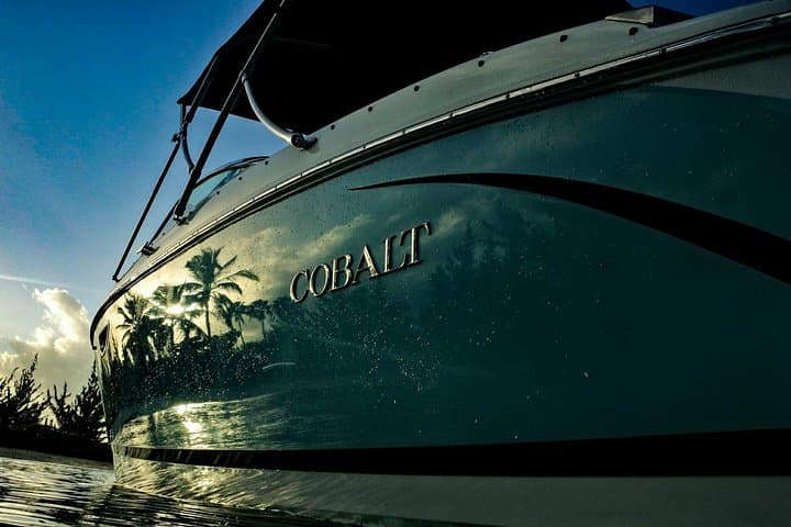 Private Luxury Charters to Stingray City — Snorkel, Starfish Point & Bioluminescence photo 4