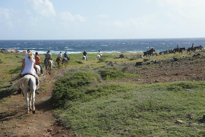 Aruba Hidden Lagoon Horseback Ride: Family-Friendly Cunucu Trail