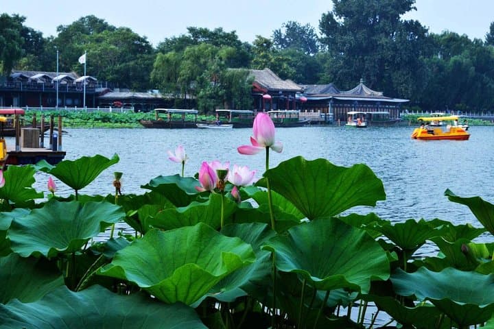 Private 3-Hour Beijing Hutong Walking Tour with Drum Tower Show & Tea Tasting