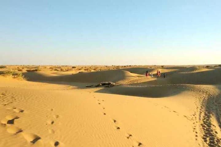 Sunset Camel Safari at Sam Sand Dunes — Half-Day from Jaisalmer photo 4
