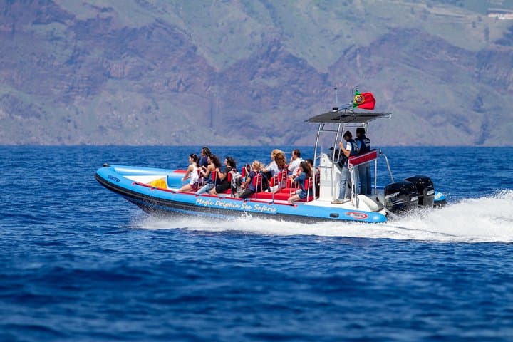 Funchal Sea Safari: High-Speed Dolphin, Whale & Turtle Watching photo 2