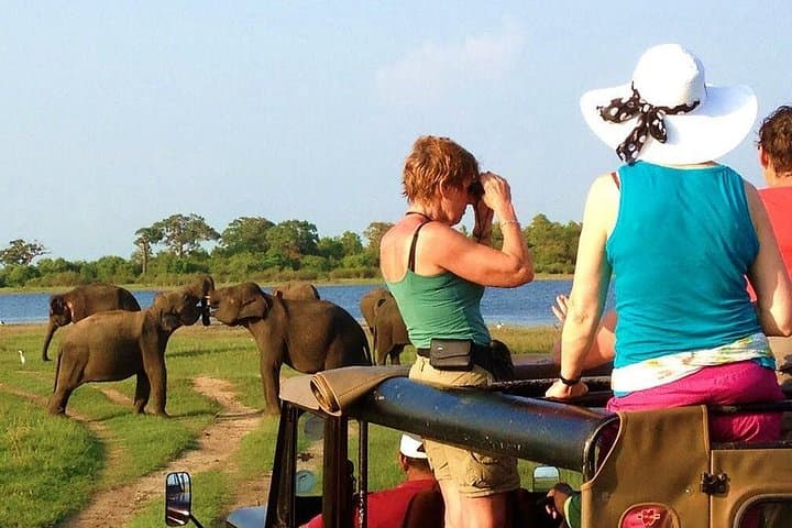 Yala Safari from Hambantota Port: 4x4 Leopard and Wetland Wildlife Experience photo 4
