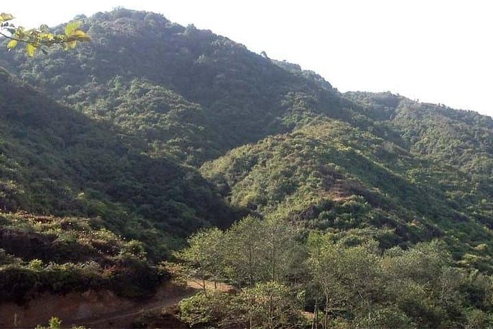 Private Day Hike to Shivapuri: Nagi Gumba to Shivapuri Peak photo 2