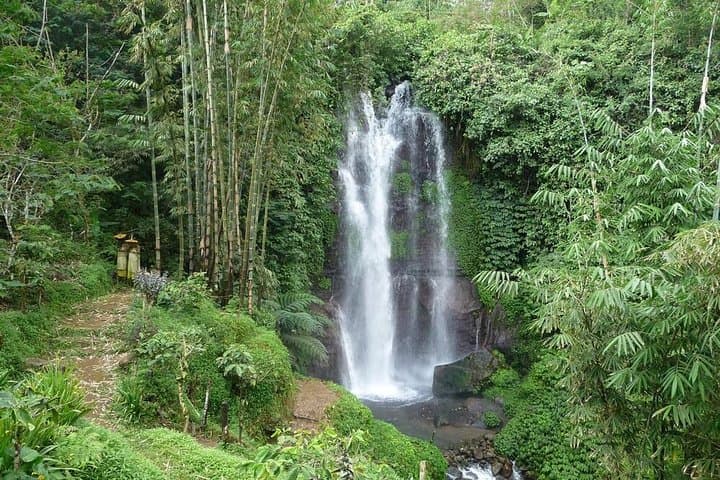 Munduk Waterfalls Trekking Tour: A Full-Day Private Trek to Three Falls, Rice Fields & Coffee Plantations