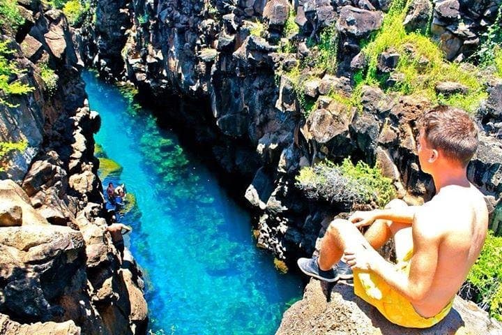 Exploring Santa Cruz Bay: A Snorkeling and Wildlife Adventure in the Galapagos Islands photo 2