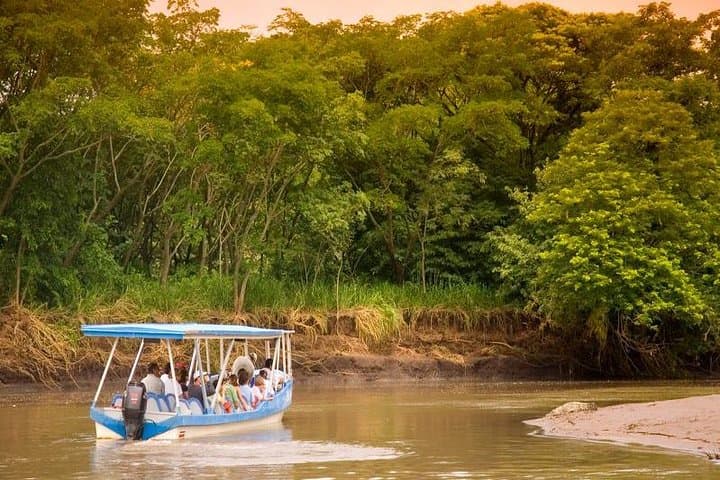 Tempisque River Wildlife Cruise — Palo Verde Boat Tour from Playa Hermosa