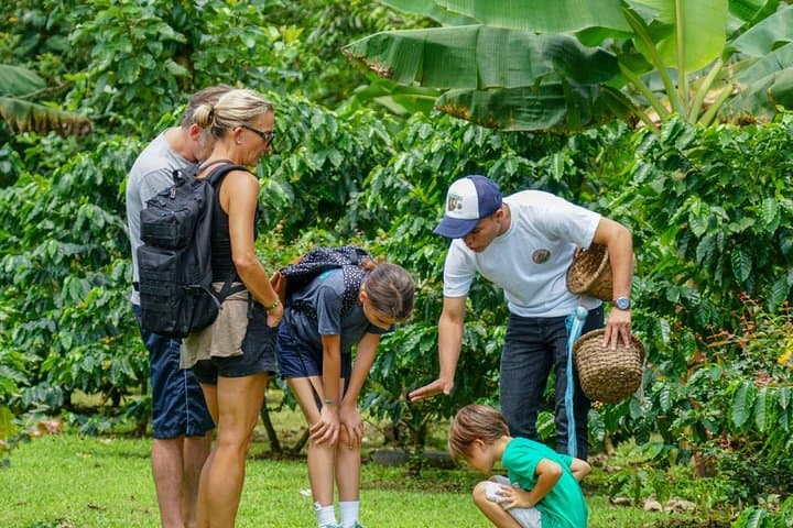 Coffee & Chocolate Tour at North Fields Cafe Near Arenal Volcano photo 6