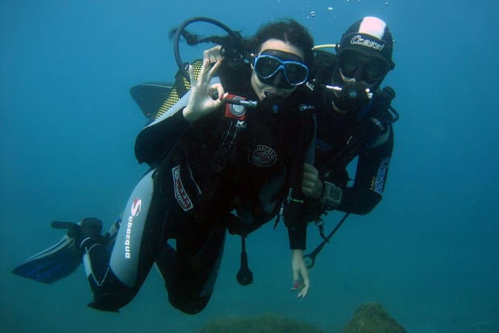 Try Scuba Diving with Turtles in South Tenerife — 2-Hour Boat Intro Dive photo 3