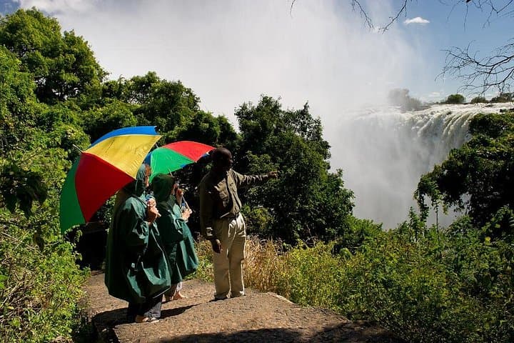 Victoria Falls Rainforest Walk: 2-Hour Guided Tour of the Smoke That Thunders