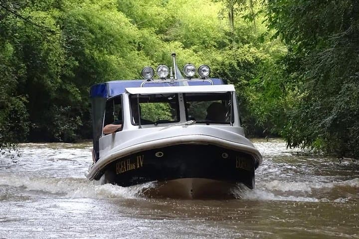 Private Tigre Delta Boat Tour from Buenos Aires — Puerto de Frutos & Quiet Channels photo 5
