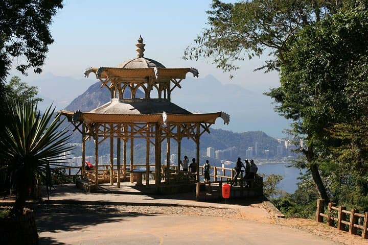 Private Tijuca Forest & Christ the Redeemer Tour — Rio's Urban Rainforest Experience photo 2