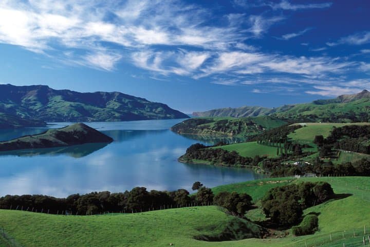 Akaroa Shore Excursion: Harbour Views, Cheese Tasting & Giant's House Gardens photo 2