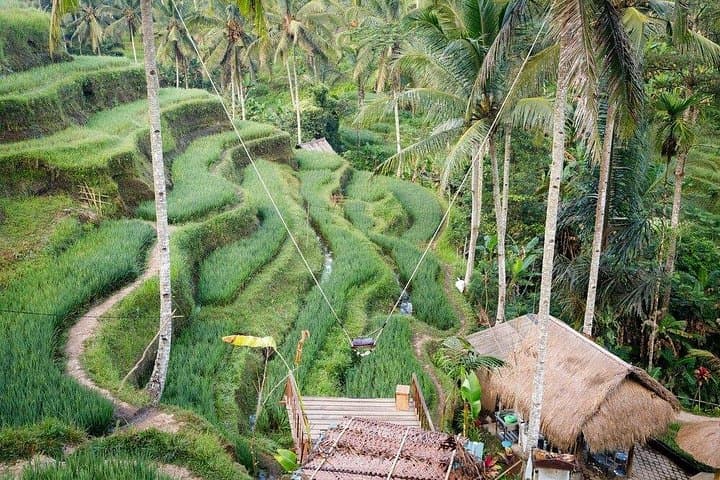 Ayung River White Water Rafting in Ubud — Jungle Swing & Rice Terrace Adventure photo 2