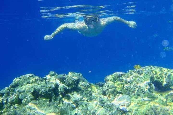 Utopia Island Snorkel Day Trip from Hurghada & Safaga photo 4