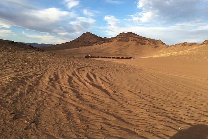 2-Day Draa Valley and Ait Ben Haddou Desert Tour from Marrakech photo 5