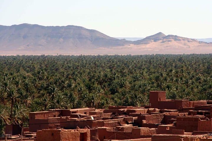 2-Day Draa Valley and Ait Ben Haddou Desert Tour from Marrakech photo 6