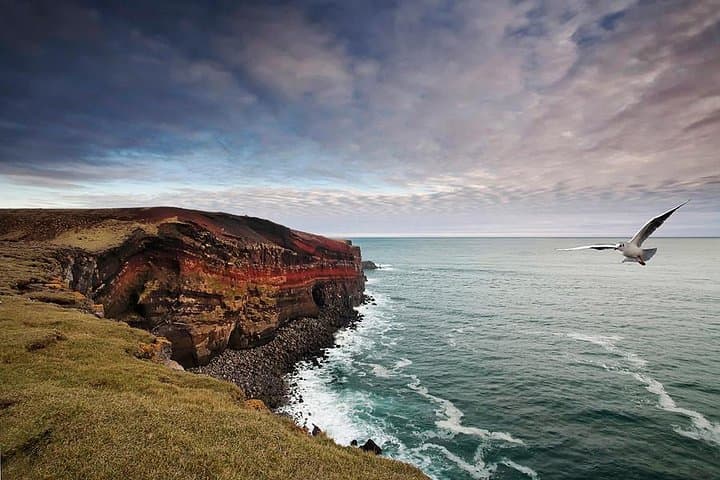 Reykjanes Peninsula and Lava Fields Day Tour: Geothermal Vents, Cliffs & Strandarkirkja