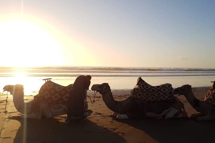 Sunset Camel Ride on Agadir Beach — Evening Dromedary Experience photo 6