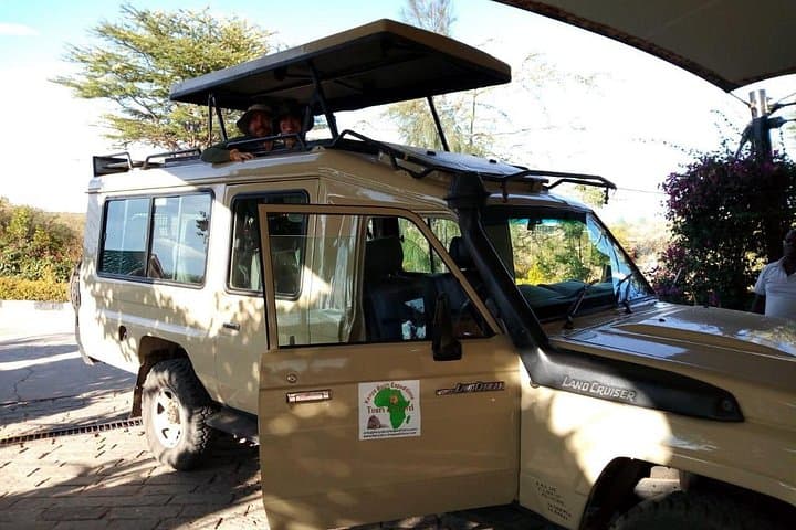 Nairobi Animal Orphanage Half-Day Tour: Wildlife, Logistics & What to Expect photo 1