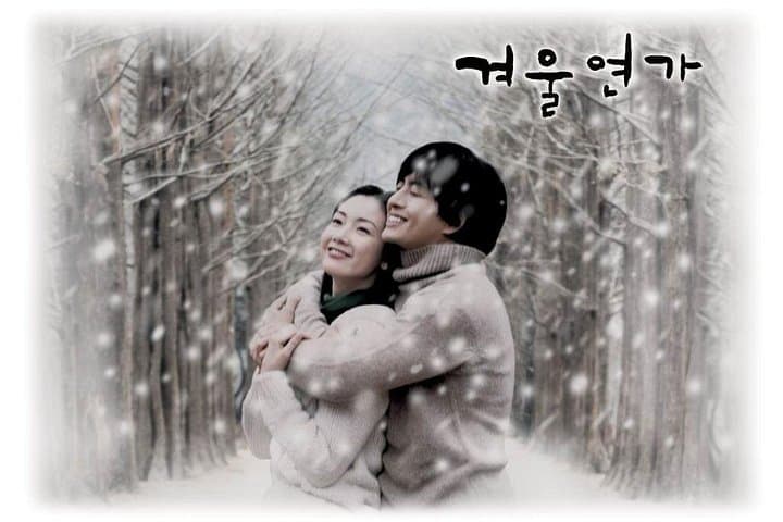 Private Day Trip to Nami Island & Elysian Gangchon Ski Resort from Seoul photo 2