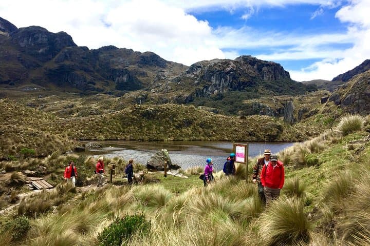 Cajas National Park Full-Day Hike: Polylepis Forests, Glacial Lakes & Llaviuco Cloud Forest photo 2