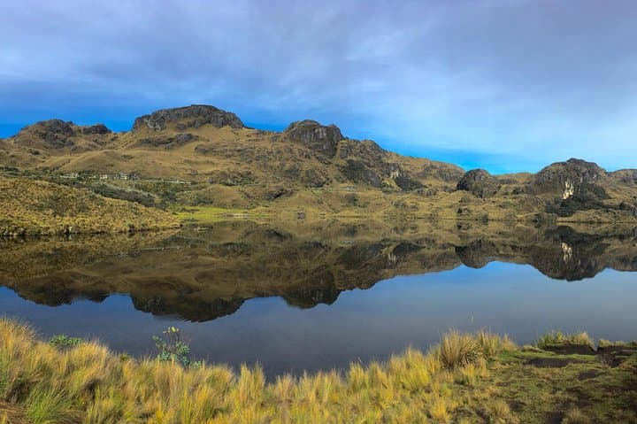 Cajas National Park Full-Day Hike: Polylepis Forests, Glacial Lakes & Llaviuco Cloud Forest photo 4