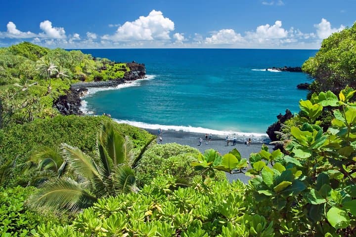 Luxury Road to Hana Small-Group Tour — Waterfalls, Black Sand & Picnic on Maui photo 5