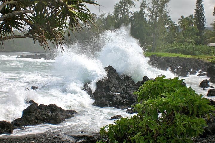 Luxury Road to Hana Small-Group Tour — Waterfalls, Black Sand & Picnic on Maui photo 6
